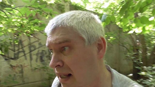 Заброшенный бетонный забор в лесу смотреть онлайн