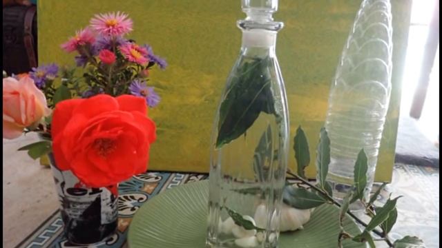 Rituel de prospérité de l'Ail et du Laurier pour attirer l'Abondance смотреть онлайн