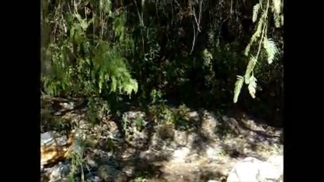 Rio Mistico Video смотреть онлайн