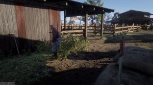Red Dead Redemption 2 - Slow Motion Brutal Kills Vol.56 (PC 60FPS)
