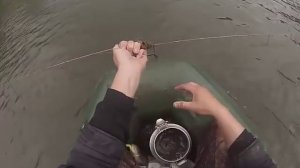 Перетяга,перемет на судака.Проверка после двух дней.