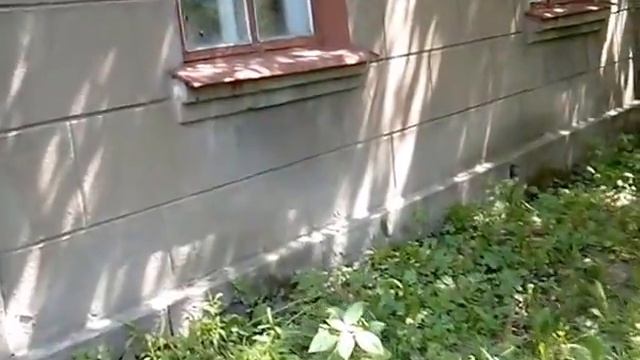 Продам дом 92кв.м.9соток г.Житомир смотреть онлайн