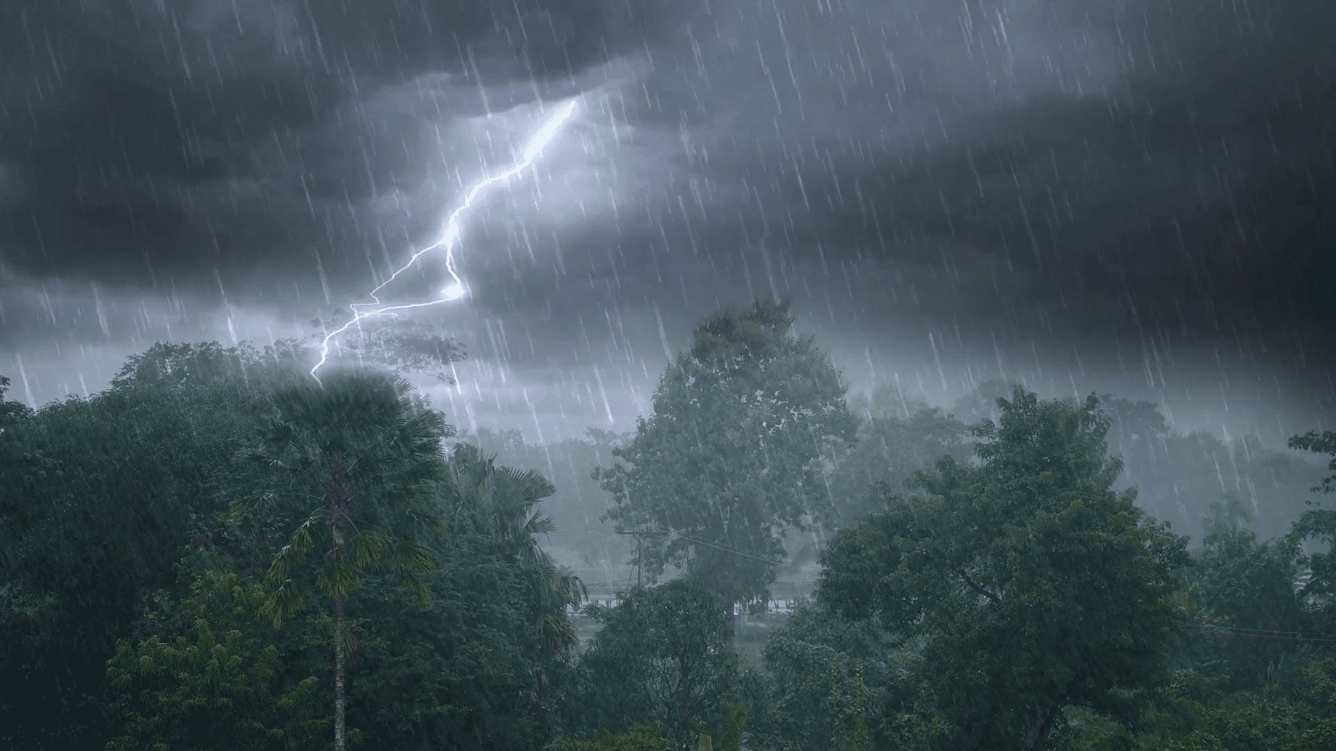 Звуки сильного дождя с грозой для сна, учебы и медитации смотреть онлайн