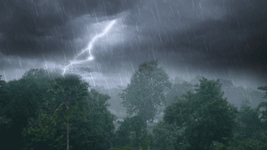 Звуки сильного дождя с грозой для сна, учебы и медитации