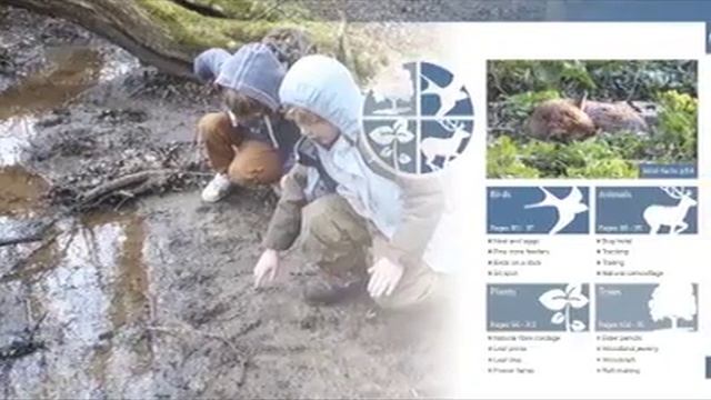 Learning with Nature: A How to Guide to Inspiring Children through Outdoor Games & Activities смотреть онлайн