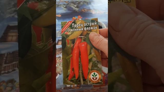 Начало февраля , пересаживаю цветы. Сею перец острый и баклажаны. смотреть онлайн