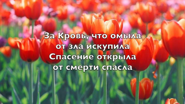 Чем могу воздать (My Tribute To God Be The Glory) -Kараоке альтовая флейта инструментальный V2 Ru смотреть онлайн