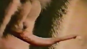 kangaroo breeding, mating younger    YouTube