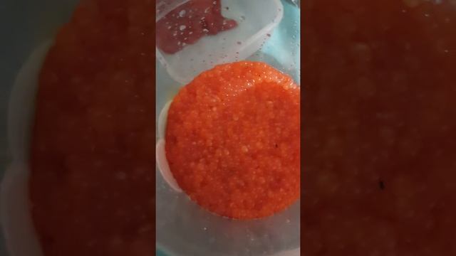 Как очистить икру от плёнки смотреть онлайн
