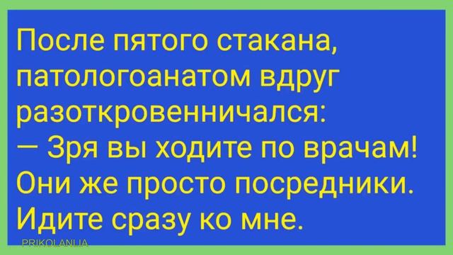 АНЕКДОТ ДНЯ 548 - О женщинах и мужчинах Смешные новые анекдоты с бородой Лучшие приколы New jokes смотреть онлайн