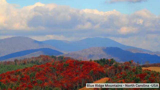 Bigfoot Attacks Hunter And Cracks His Ribs - He Never Steps Foot In The Woods Again смотреть онлайн