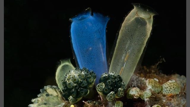 Отчего зависят наши сны, как на это повлиять? Видим только хорошие сны смотреть онлайн