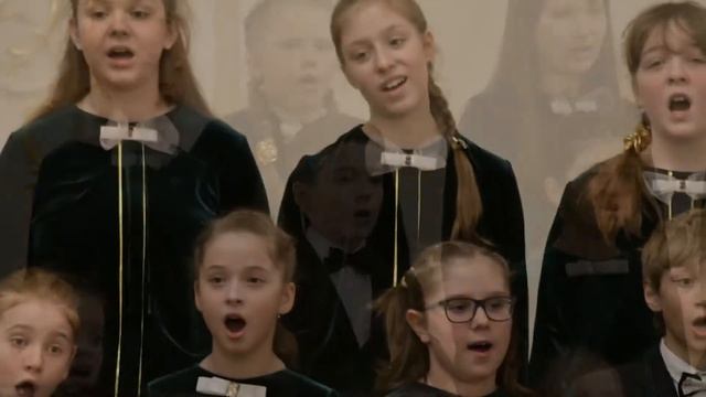 ДХФО - Мастер дятел