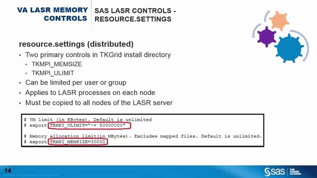 Understanding and Using SAS LASR Memory Controls смотреть онлайн