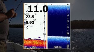 Крупный судак на эхолоте или поиски крупного судака простым эхолотом