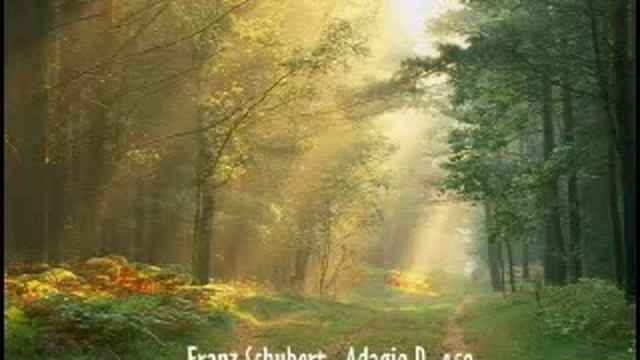 Franz Schubert - Adagio in E-Major D.459 смотреть онлайн