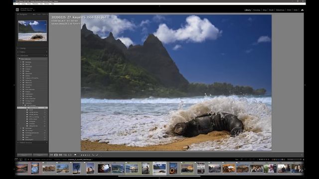 Approaching the Scene 186: Nikon 24-70 S vs 24-120 S + How to Test Lenses смотреть онлайн