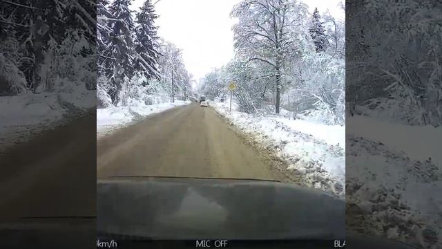 Дерево чуть не прибило машину смотреть онлайн