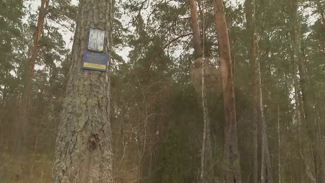Страницы тверской православной истории 1000лет христианству на тверской земле смотреть онлайн