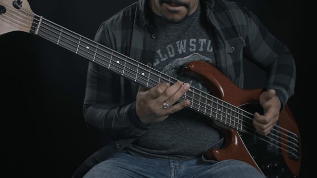 Meshuggah - Do Not Look Down | SLAP Bass Cover смотреть онлайн