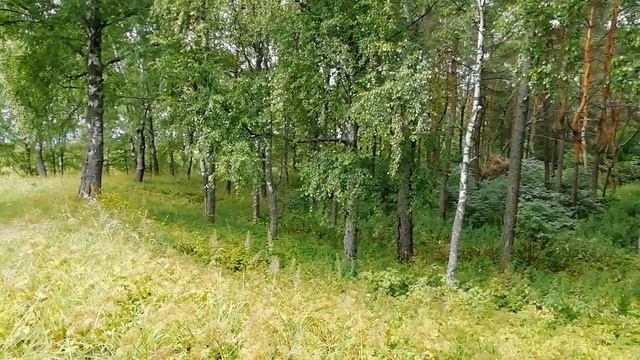 Смолики на ютубе - место рождения Ельни. Путешествие во времени смотреть онлайн