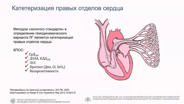 Неклюдова Г.В. Эхокардиографические возможности диагностики легочной гипертензии у взрослых смотреть онлайн