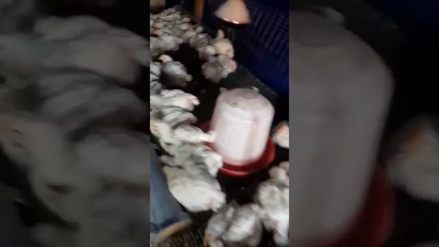 В тесноте но не в обиде. смотреть онлайн