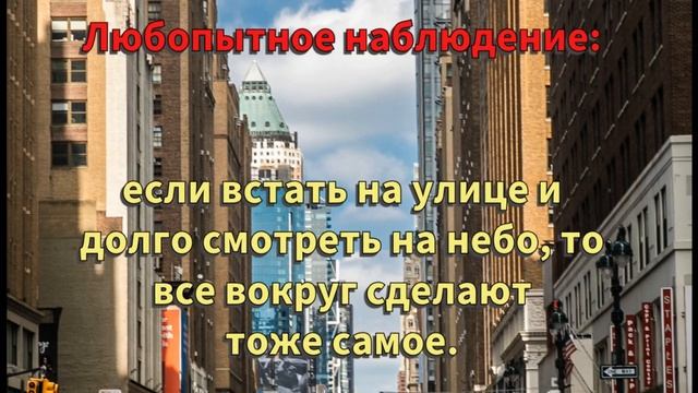 Позитивный сборник оригинальных картинок с шутками и короткими анекдотами. (Часть 13)