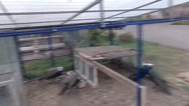 По святым местам. Семиозерский монастырь. смотреть онлайн