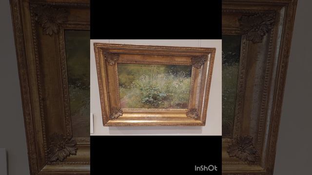 Солнечная (покупки и обзоры)