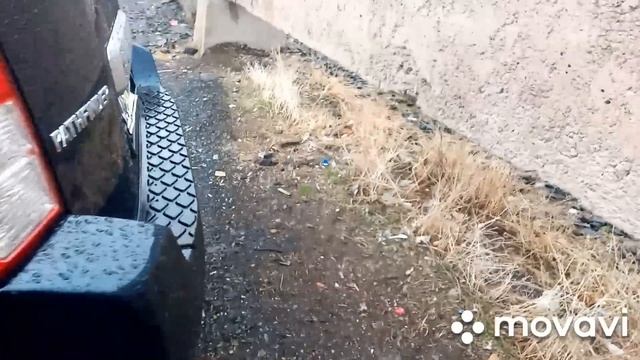 Реальное ценники 25.02.2020 смотреть онлайн