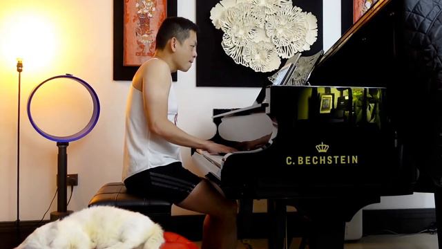 旅程 by A-Mei | Piano Cover | C. Bechstein 167 смотреть онлайн