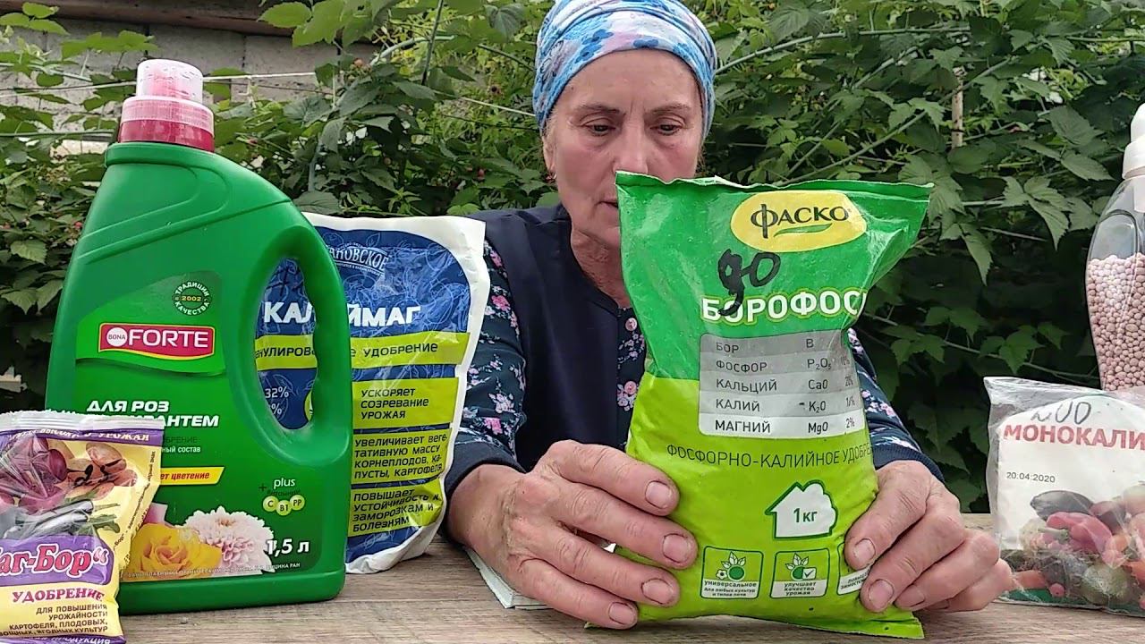 Чем подкормить розы. смотреть онлайн