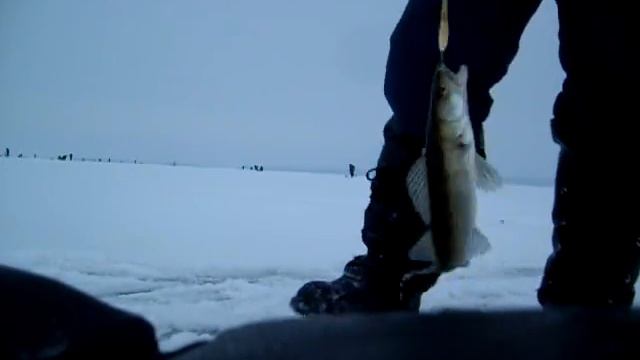 Ловля судака на блесну смотреть онлайн