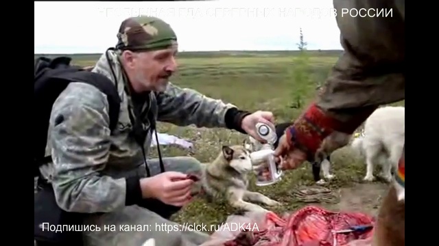 НЕОБЫЧНАЯ ЕДА СЕВЕРНЫХ НАРОДОВ РОССИИ.