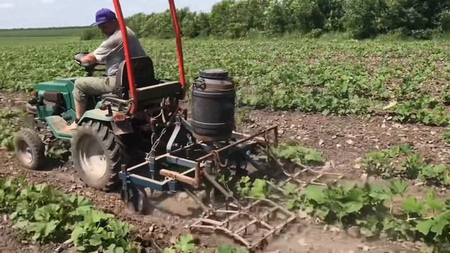 Як ми спасали гарбузи 2021 смотреть онлайн