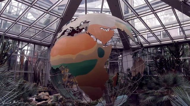 Impressionen vom Palmengarten смотреть онлайн