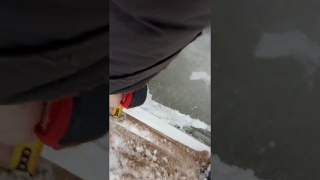 мои три створки алюминий дача с окт 61 315 см смотреть онлайн