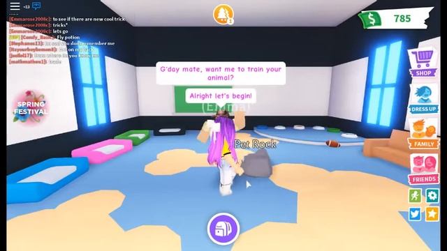 TRAINING MY PET ROCK NEW TRICKS!!! (Roblox Adopt Me) смотреть онлайн