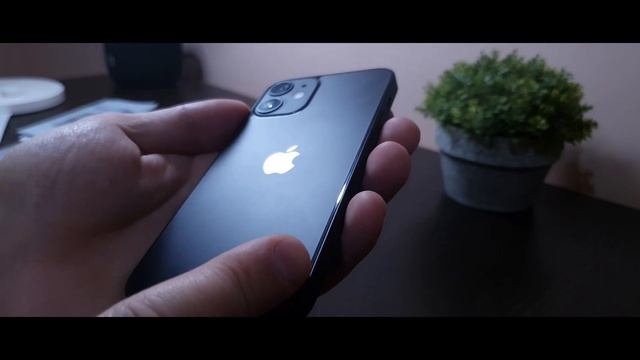 Превращаю IPHONE 12 Mini в IPHONE 12 PRO