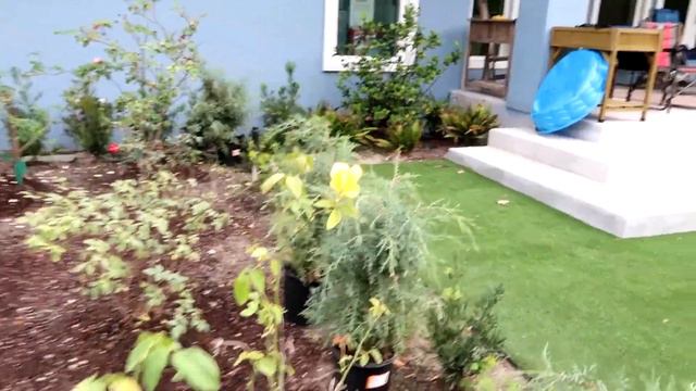 Newly Installed Rose Garden Tour смотреть онлайн