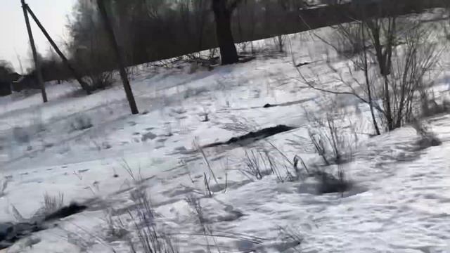 СПИДРАН ПО МЕТАЛЛОКОПУСАМЫЙ БЫСТРЫЙ МЕТАЛЛОКОП? смотреть онлайн