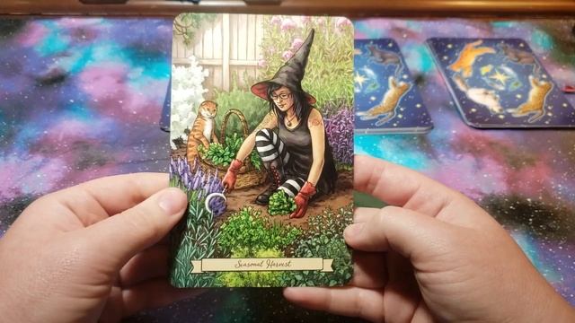 ? Everyday Witch Oracle Review смотреть онлайн