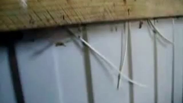 Музыка в Espero