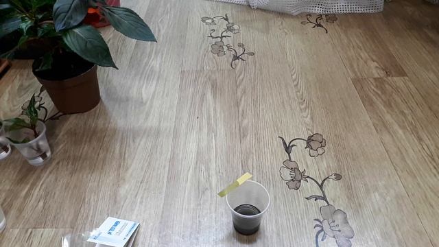 Кислотность грунта/Кислотно-щелочной баланс: как измерить? смотреть онлайн