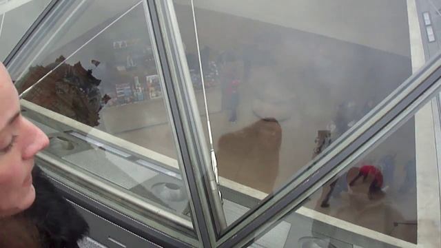 Парижский vlog | Вход в Лувр - небольшая очередь. смотреть онлайн