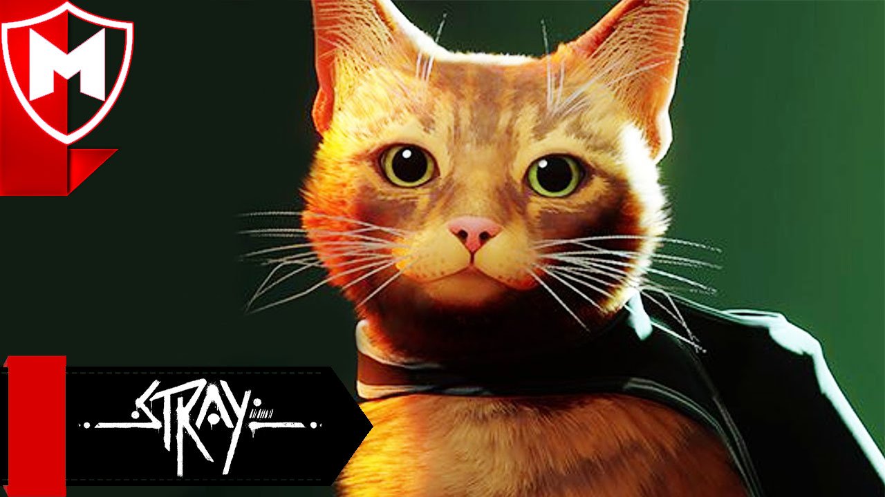 Прохождение Stray ➤ Робовейник / Где найти все цветы для Мало смотреть онлайн