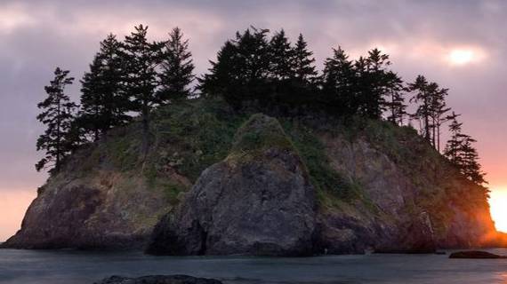 DayZ  RaccoonCity/PVE