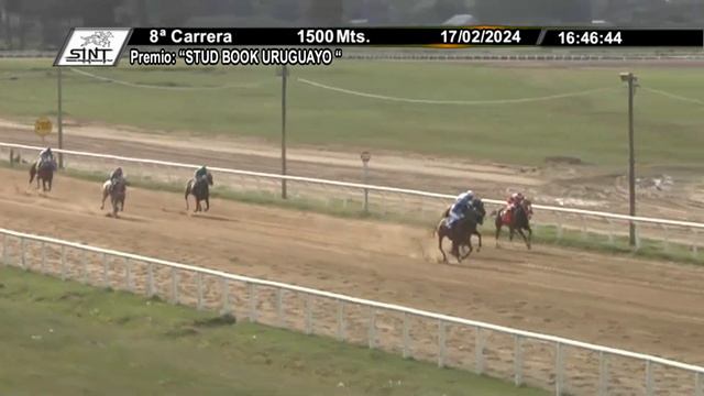 SINT MELO 240217 c08 - 1° ORBITA SUL смотреть онлайн