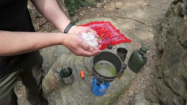 LAS COLLEJAS (SILENE VULGARIS) comestibilidad, propiedades medicinales y curiosidades. смотреть онлайн